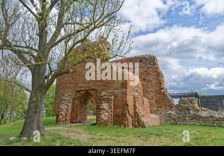 Greiffenberg Castle Ruins, Ruins of Greiffenburg Castle, made of brick in the UNESCO Schorfheide-Chorin Biosphere Reserve. Greiffenberg, Angermuende, Stock Photo