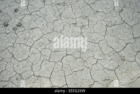 Dry cracked earth background, clay desert texture Stock Photo