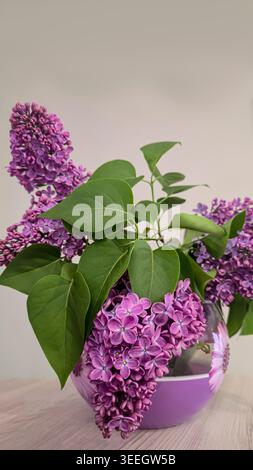 A bouquet of blooming lilacs with green leaves in a round glass vase with a floral pattern. A spring floral arrangement in an interior with soft natur Stock Photo