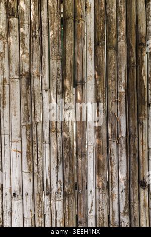Weathered bamboo wall texture vertical natural rustic background pattern Stock Photo