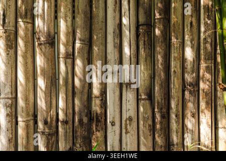 Sunlit weathered bamboo wall texture tropical rustic natural background Stock Photo