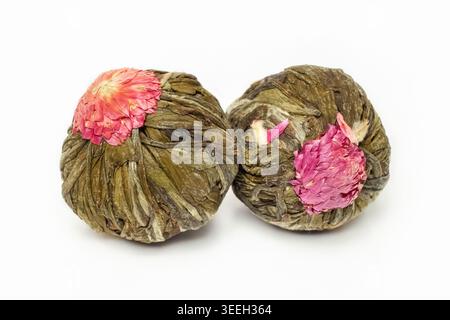 Tea flower asian exotic balls isolated white background macro Stock Photo