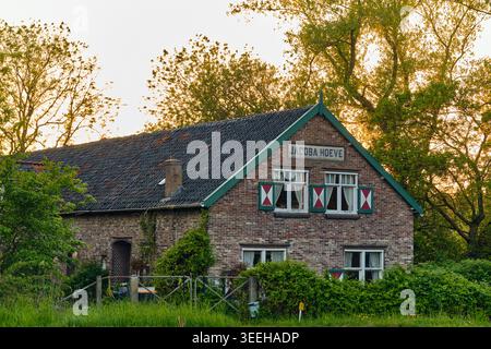 Historic Dutch Farmhouse Jacoba Hoeve in Alkmaar With Traditional Shutters And Greenery At Sunset,  Stock Photo