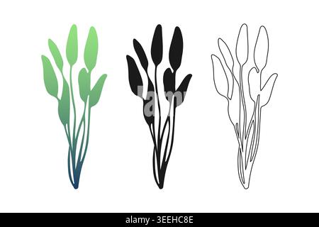 Drawing doodle sargassum seaweed silhouettes set with black icon, line art and emerald-blue gradient for botanical branding, marine biology education Stock Vector