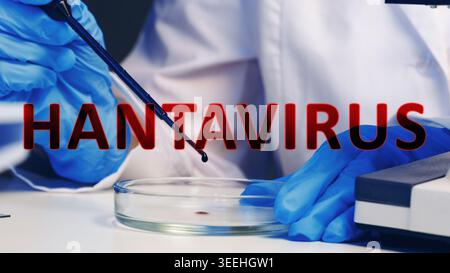 Research on hantavirus in a laboratory with a focus on microbiology techniques Stock Photo