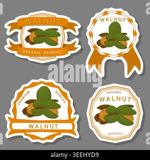 Illustration on theme of set tasty natural eco product walnut nut, pattern consisting of kit various options meal walnut nut, abstract composition of Stock Vector