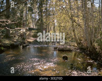 Treppoja Cascade river flowing through sunlit spring forest with viewing platform, Estonia Stock Photo