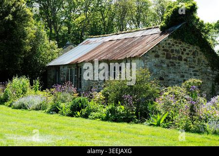 Charming old stone barn surrounded  by an overgrown blooming cottage garden set against lush green trees on a sunny day in rural Cornwall, UK Stock Photo