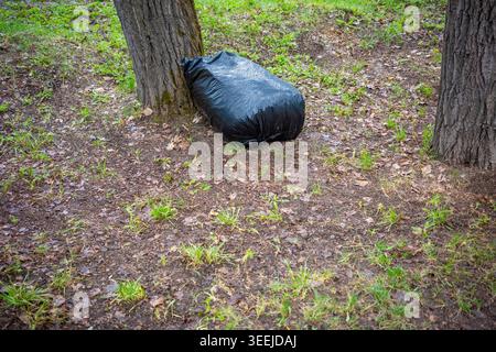 Single black garbage bag left in forest park after cleanup work, abandoned outdoor waste. Concept: waste accumulation Stock Photo