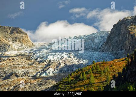 Trient Valley, Switzerland - 17.09.2025: A breathtaking view of a massive glacier flowing through rugged mountain terrain with autumnal vegetation. Stock Photo