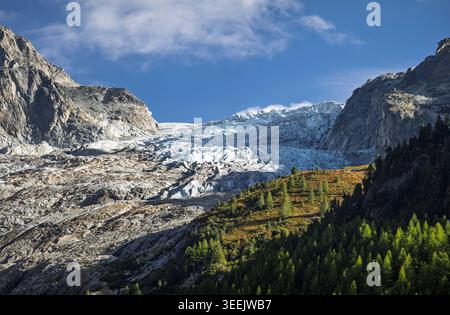 Trient Valley, Switzerland - 17.09.2025: A breathtaking panoramic view of a massive glacier flowing through rugged mountains and dense coniferous fore Stock Photo