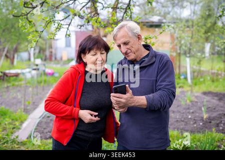 Senior couple using smartphone in garden. Senior couple looks at a smartphone together while standing outdoors in a green backyard vegetable garden. Stock Photo
