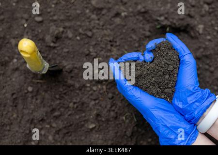 Gardener Holding Rich Soil in Blue Gloves. Hands in blue gloves hold dark garden soil near a trowel, showing gardening, planting, and soil quality Stock Photo