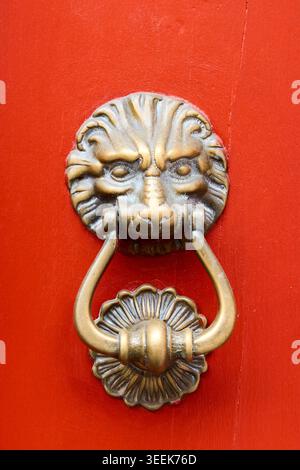 Antique brass door knocker shaped like a lion head with a ring on a bright red painted wooden entrance door close-up. Stock Photo