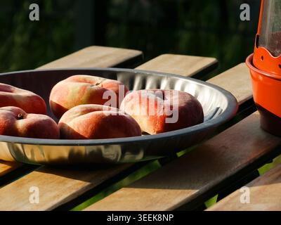 Fresh flat peaches in a metal bowl and red lantern on a wooden table, captured in soft natural light for a fresh seasonal look. Stock Photo