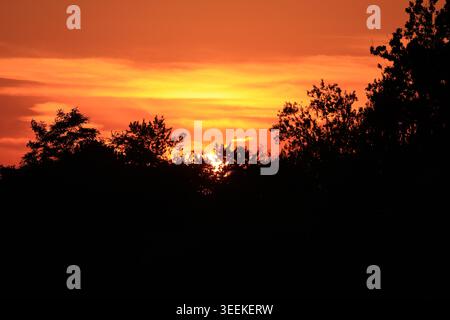 Vivid orange and red sunset sky behind silhouetted deciduous trees. The sun dips below the horizon casting intense color gradients across layered clou Stock Photo