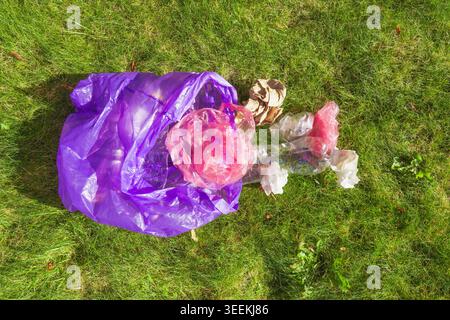 Plastic garbage including purple and pink bags with paper crumpled on green lawn. Environmental pollution concept Stock Photo
