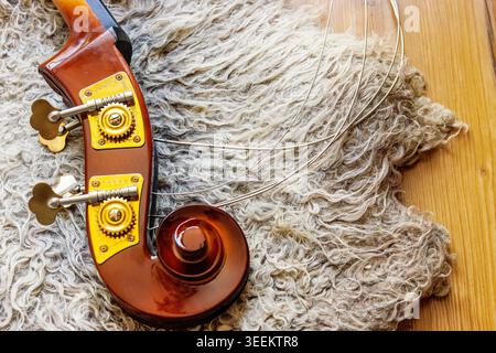 Contrabass headstock with scroll, pegbox, tuning keys, nuts, pegs and brass plates lying on the felted wool locks rug on the wooden floor. Close up Stock Photo