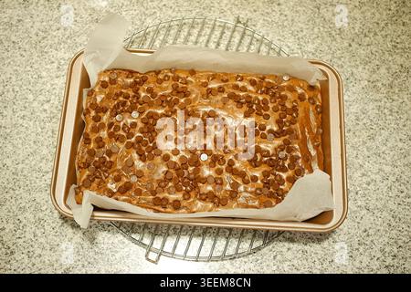 Homemade chocolate chip brownies, showcasing their rich, gooey texture. Stock Photo