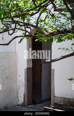 traditional wooden door framed by tree in fuzhou, china Stock Photo
