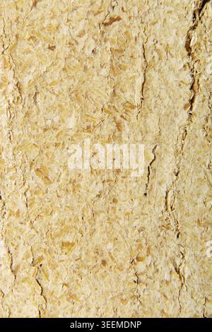 Wood sawdust briquettes texture, isolated on white Stock Photo