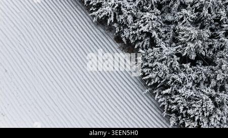 Aerial View of Snow Covered Pine Forest on a Slope Stock Photo