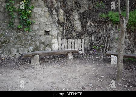 Rustic wooden benches made of logs resting on stone bases against an old stone wall covered with dry vines and green ivy in a park, Greece Stock Photo