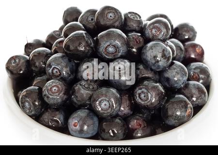 Macro shot of fresh ripe blueberries filled to the brim in a bowl isolated on a white background Stock Photo