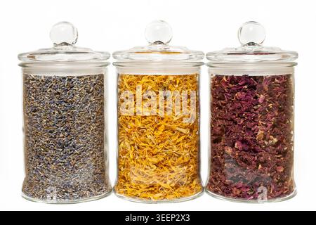 Three glass apothecary jars with lids filled with various dried herbs and flower petals isolated on a white background Stock Photo