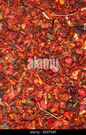 Full frame macro texture background of colorful aromatic spices mix for pilaf Stock Photo