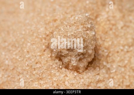 Macro close up of unrefined brown sugar lump on granulated cane sugar background Stock Photo