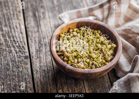 Fresh mung bean sprouts served in a wooden bowl on a rustic wooden table with a checked cloth, conveying healthy, natural, vegetarian food, fresh ingr Stock Photo
