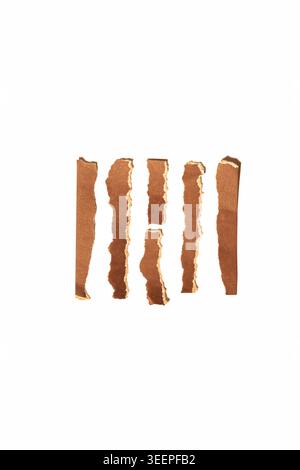 Brown paper strips with rough, textured edges and a worn finish, creating a vintage or aged appearance on a white background Stock Photo