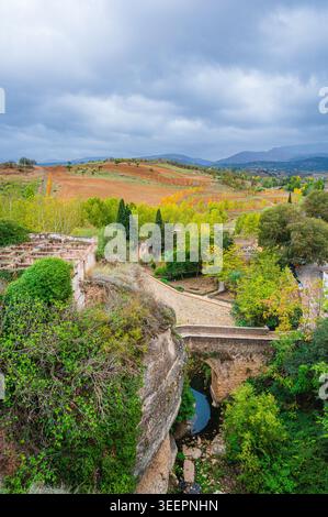 An old stone bridge spans a narrow gorge with a small river, surrounded by green and autumn-colored trees next to farmland and rolling hills in Ronda, Stock Photo