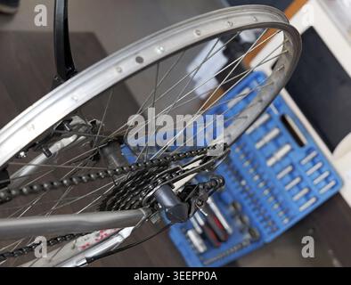 Bicycle wheel, gears, and chain undergoing maintenance with a blue toolbox filled with various repair tools in the background, symbolizing preparation Stock Photo