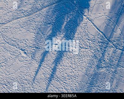 Aerial view of a snow-covered field with numerous footprints and long tree shadows under bright sunlight in Lithuania. Stock Photo