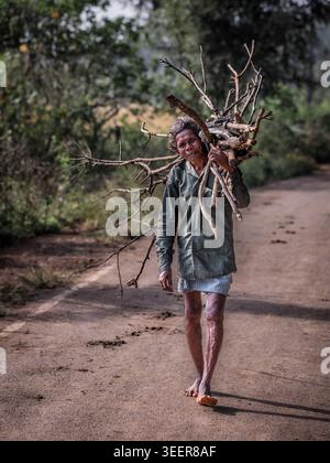 Middle-aged man carrying a bundle of firewood on his back while walking along a rural path in Odisha, India Stock Photo