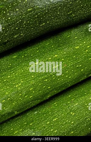 Top View of Ripe Courgette Zucchini, Vegetables Stock Photo
