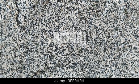 Detailed shot of granite surface showing mineral compositions. Speckled texture with a blend of black and white. Use for backgrounds, textures, or con Stock Photo