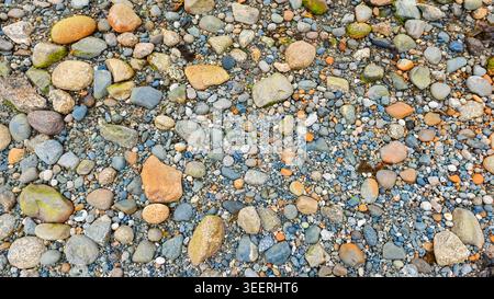 Overhead shot displaying pebble textures. Features cool and neutral colors with natural lighting. Ideal for backgrounds suggesting resilience and subt Stock Photo