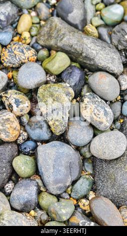 Detailed close up shot features neutral toned assorted rocks pebbles. Diverse forms textures visible. Natural light accentuates smooth wet surfaces. G Stock Photo