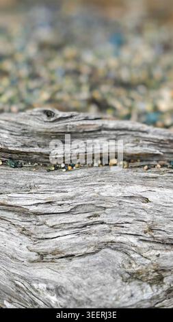 Macro shot shows driftwood texture and structure. Minimalist setup. Focus on grain details, gray and brown tones, with background pebbles providing co Stock Photo