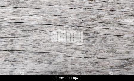 Authentic wood texture background with cracks. Light grey surface shows natural patterns. Ideal for rustic designs, banners, and backgrounds. Grainy m Stock Photo