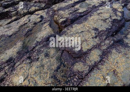 Weathered Seaside Rock Formation Close-Up, Abstract Patterns on Rocky Shore. Natural Rock Texture by the Sea. Volcanic Rock Surface with Tide Pools. Stock Photo