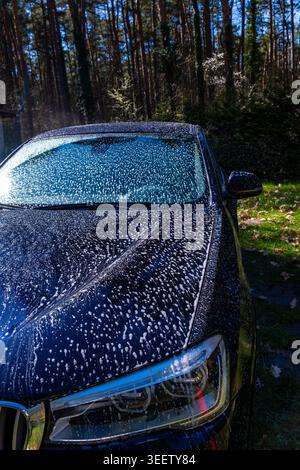 A black luxury car covered in white soap foam is being washed outdoors near a forested area on a sunny day. Water droplets and suds coat the hood and Stock Photo
