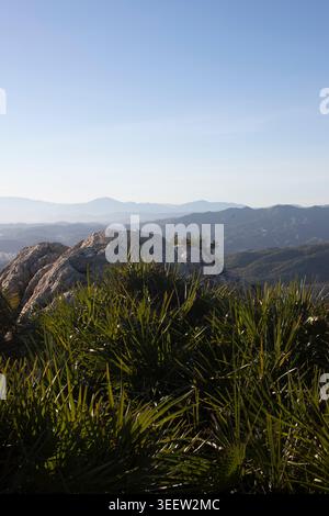 Native Mediterranean fan palms and rocks crown a sierra peak overlooking layered blue ridges near San Juan, Malaga, Spain. Stock Photo