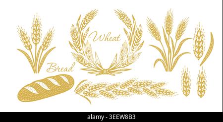 Graphic silhouettes of grain ears . Wheat and Bread Hand drawn. Not AI, vector illustration. Stock Vector