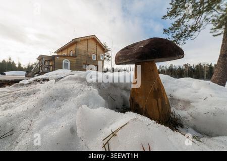 Mushroom in Snowy Forest Stock Photo
