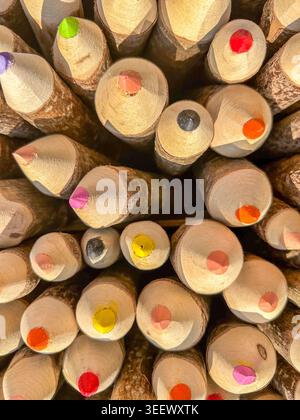 Top down close-up of a bundle of rustic colored pencils made from natural tree branches. Stock Photo