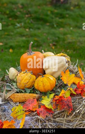 Varied pumpkins, gourds, corn, and autumn leaves decorating a hay bale in Prague Stock Photo
